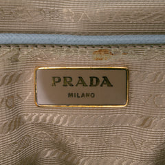 Large Saffiano Lux Promenade Satchel