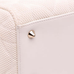 Medium Mesh Cannage Lady Dior