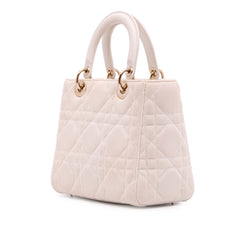 Medium Mesh Cannage Lady Dior