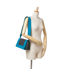 Leather Frame Shoulder Bag