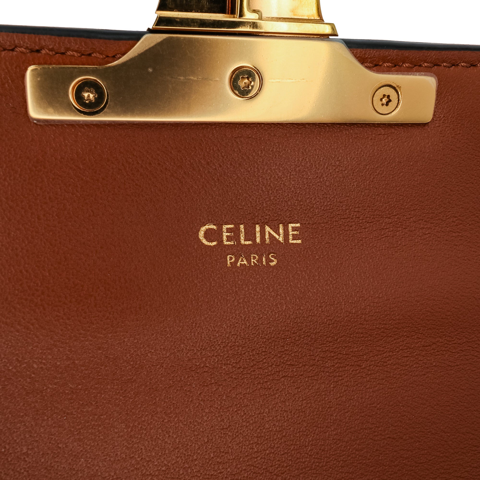 Triomphe Coated Canvas Chain Shoulder Bag