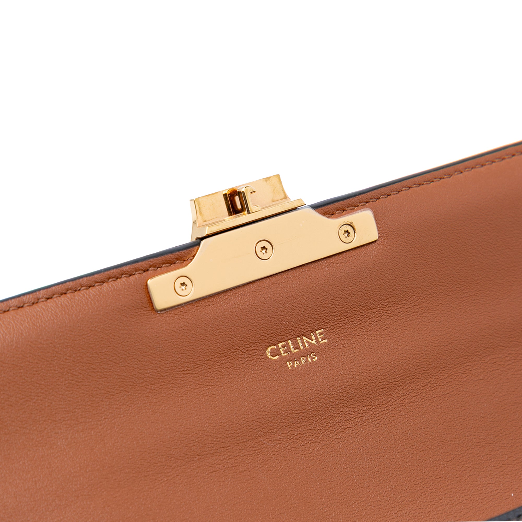 Triomphe Coated Canvas Chain Shoulder Bag