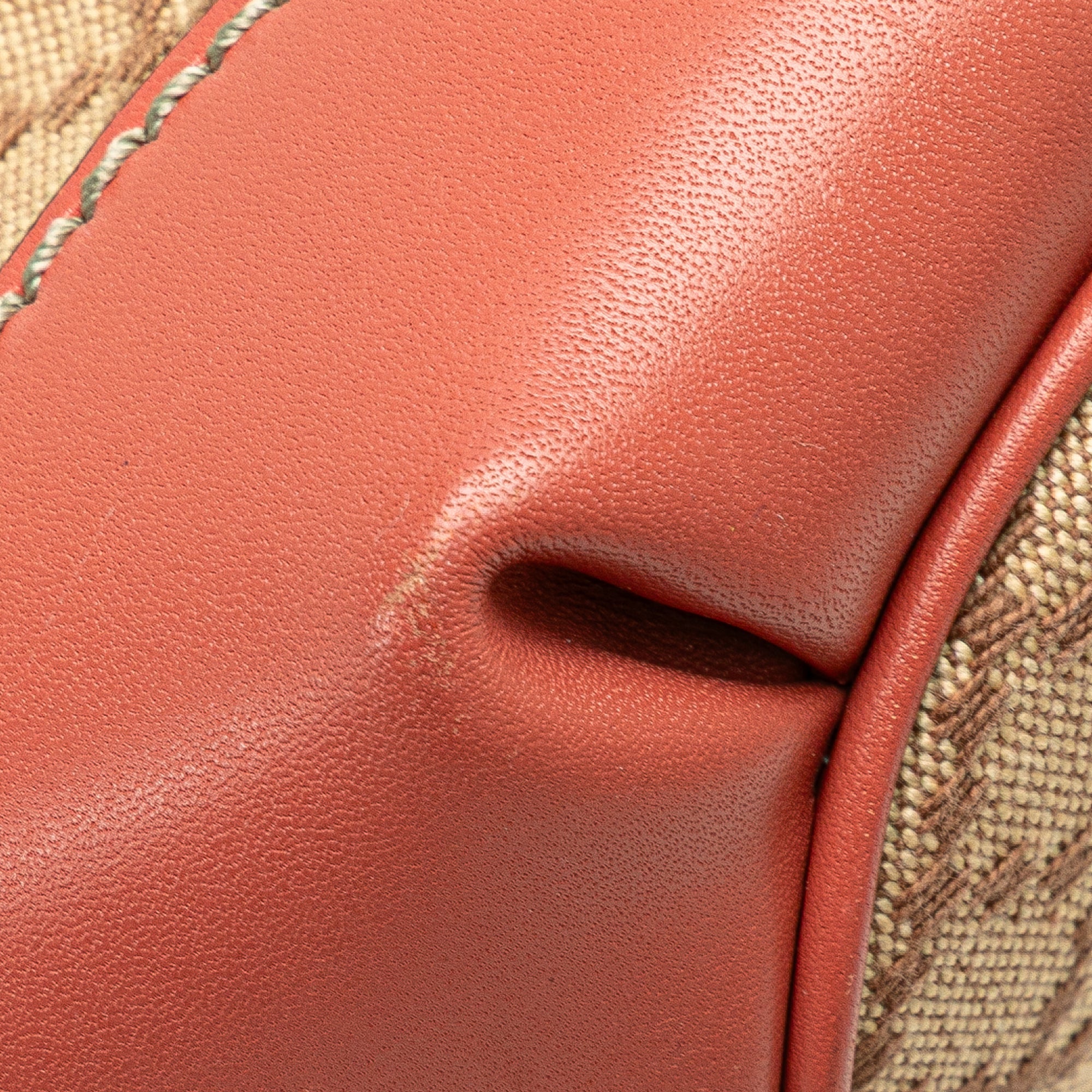 Diamante Canvas Sukey Satchel