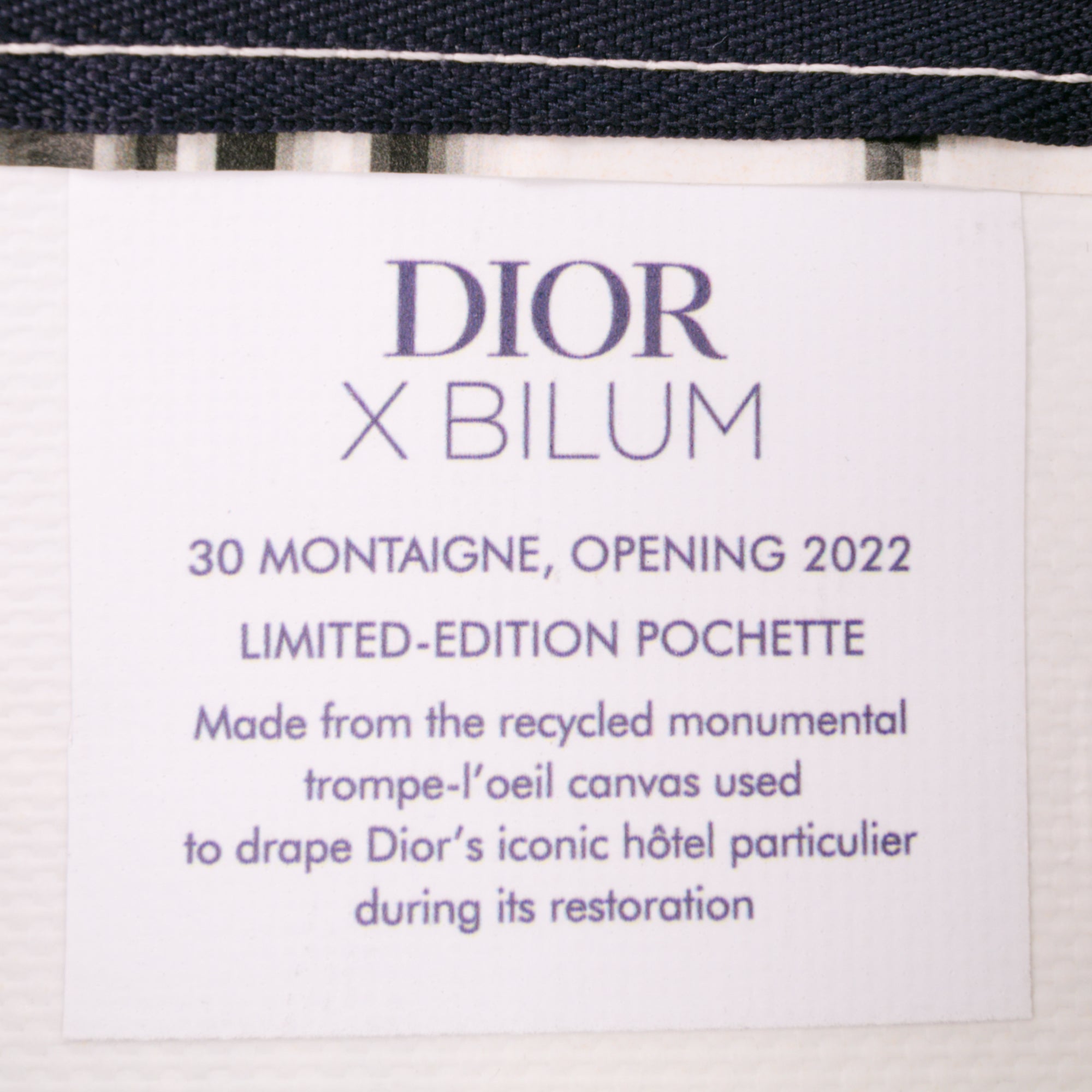 Limited Edition Bilum Trompe Loeil Canvas 30 Montaigne Pochette