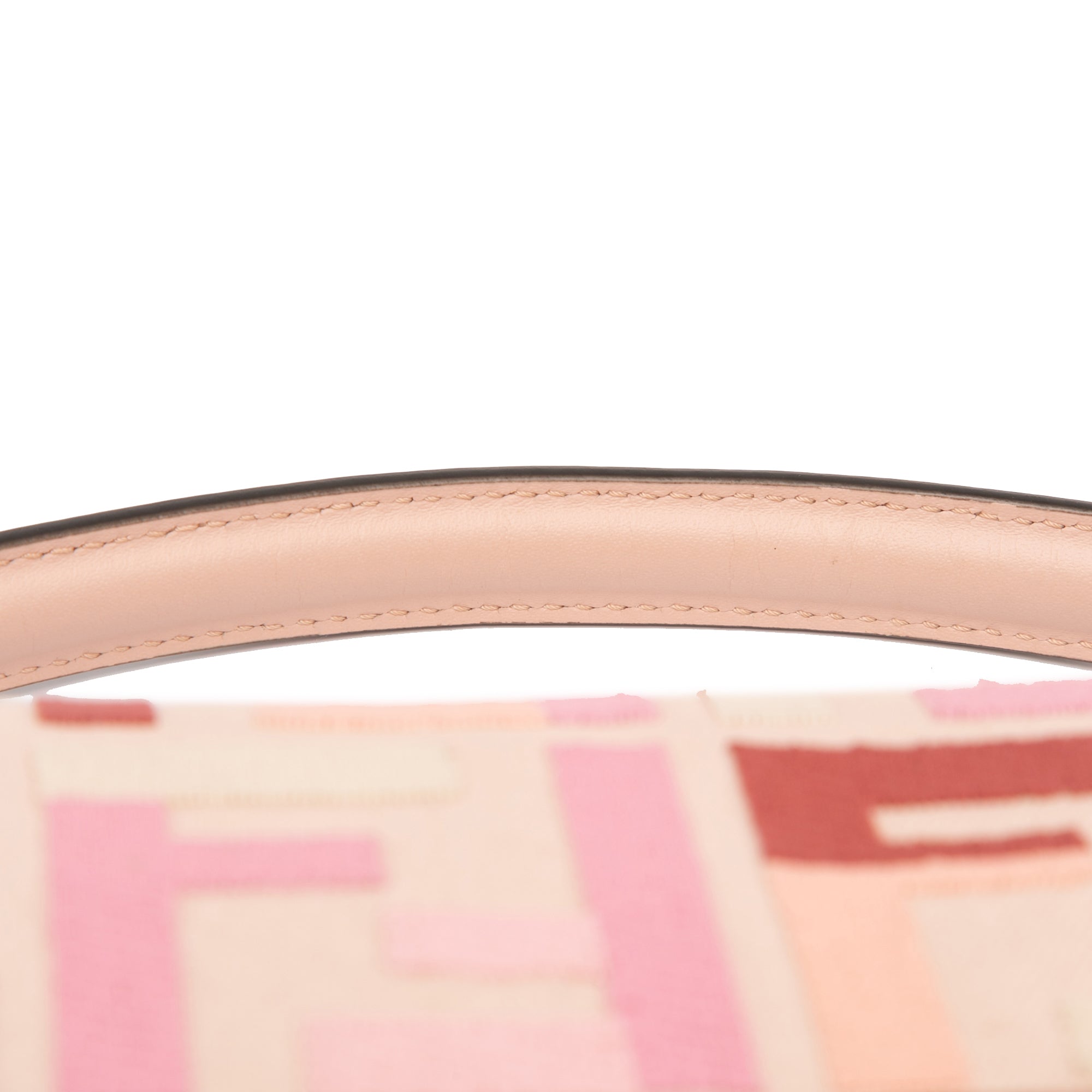 Zucca Embroidered Canvas Baguette Satchel