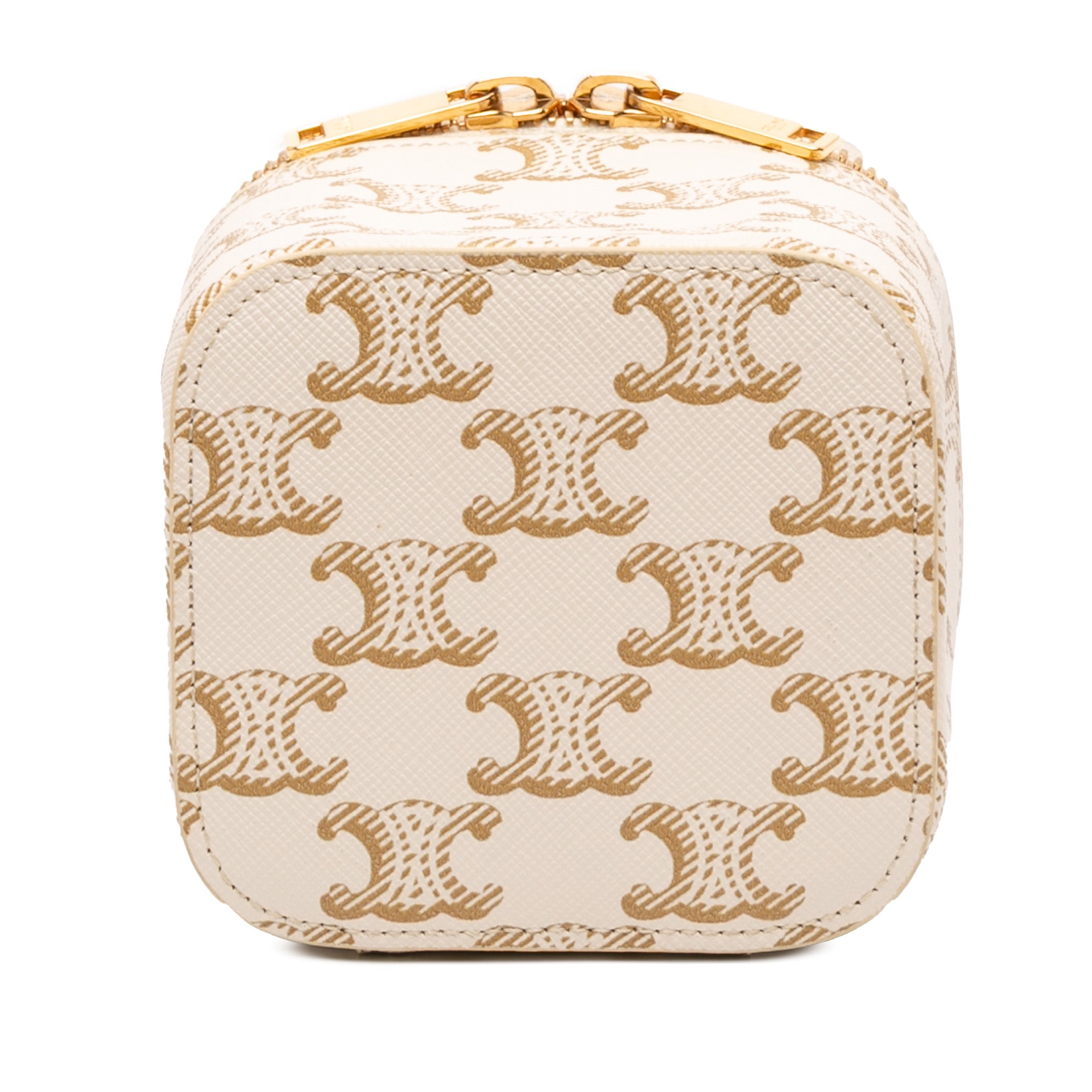 Mini Triomphe Coated Canvas Vanity Case