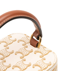 Mini Triomphe Coated Canvas Vanity Case