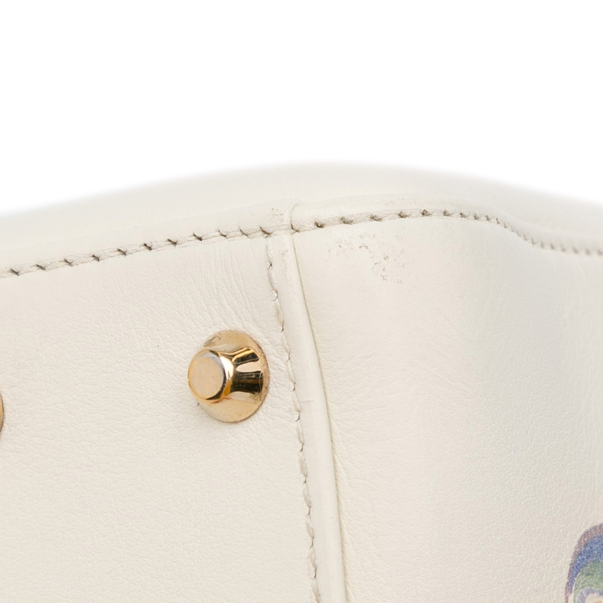 Niki De Saint Phalle Mini Calfskin Dioramour Lady Dior