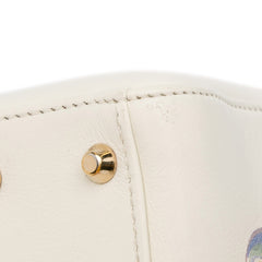 Niki De Saint Phalle Mini Calfskin Dioramour Lady Dior