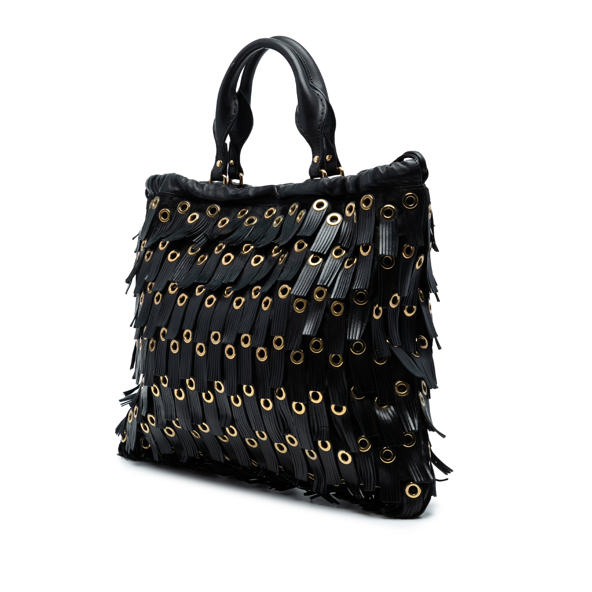 Calf Hair and Leather Grommet Fringe Big Crush Tote