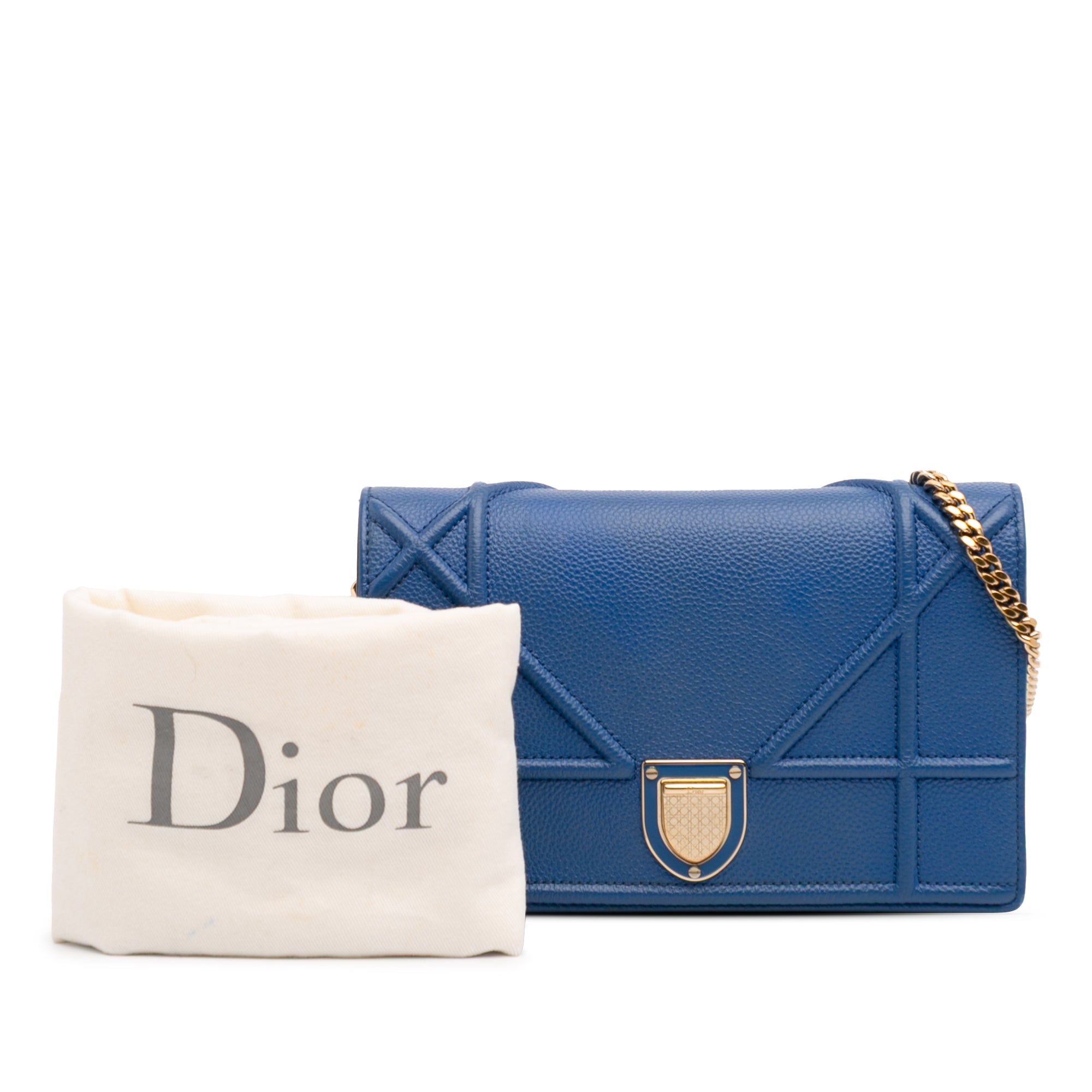 Grained Calfskin Diorama Wallet on Chain