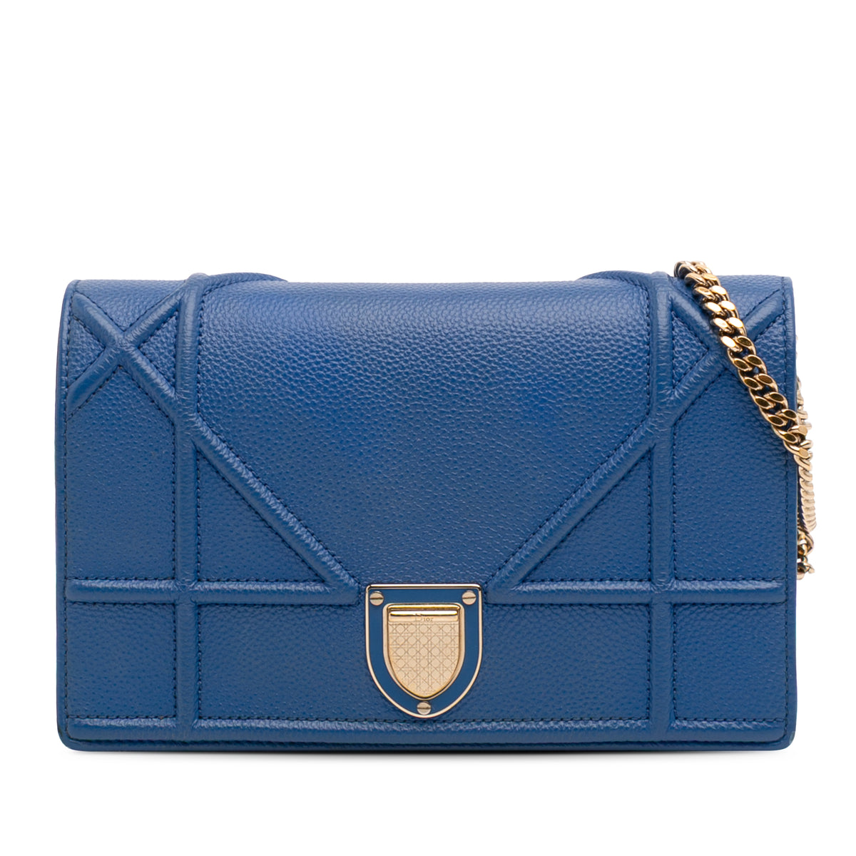 Grained Calfskin Diorama Wallet on Chain