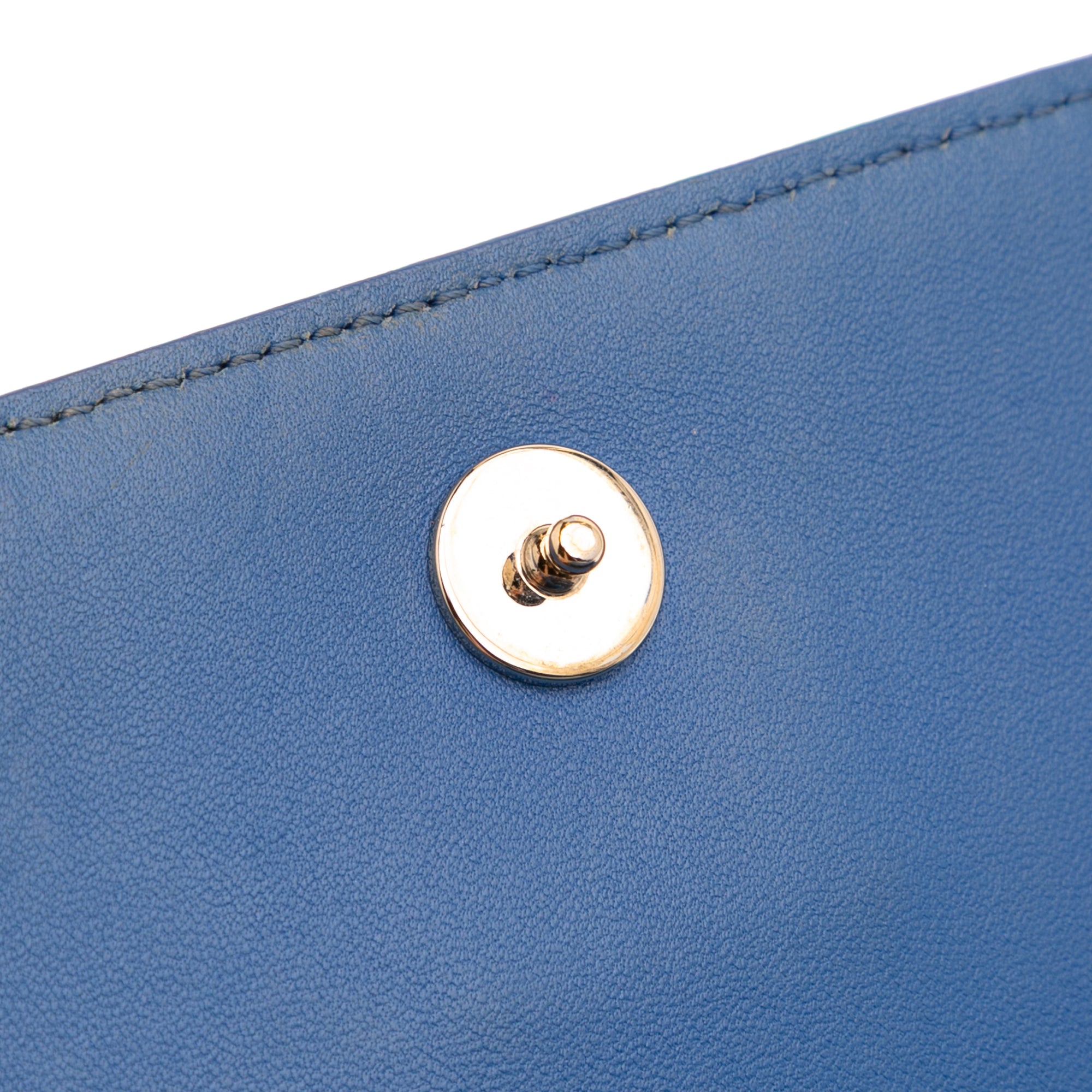 Grained Calfskin Diorama Wallet on Chain