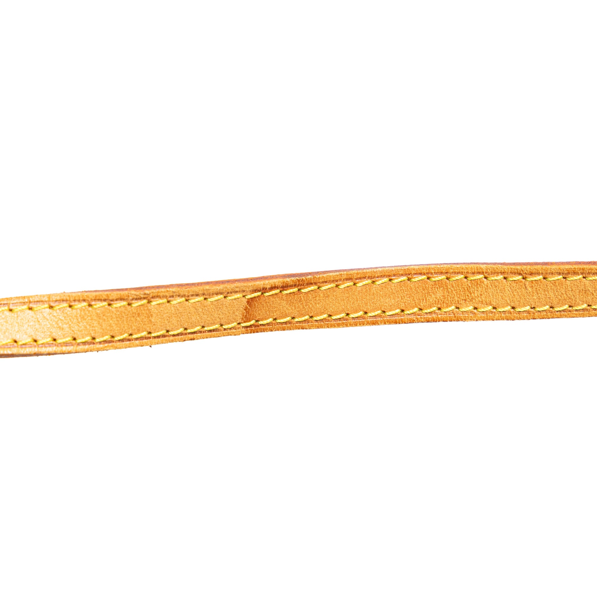 Monogram Pochette Twin PM