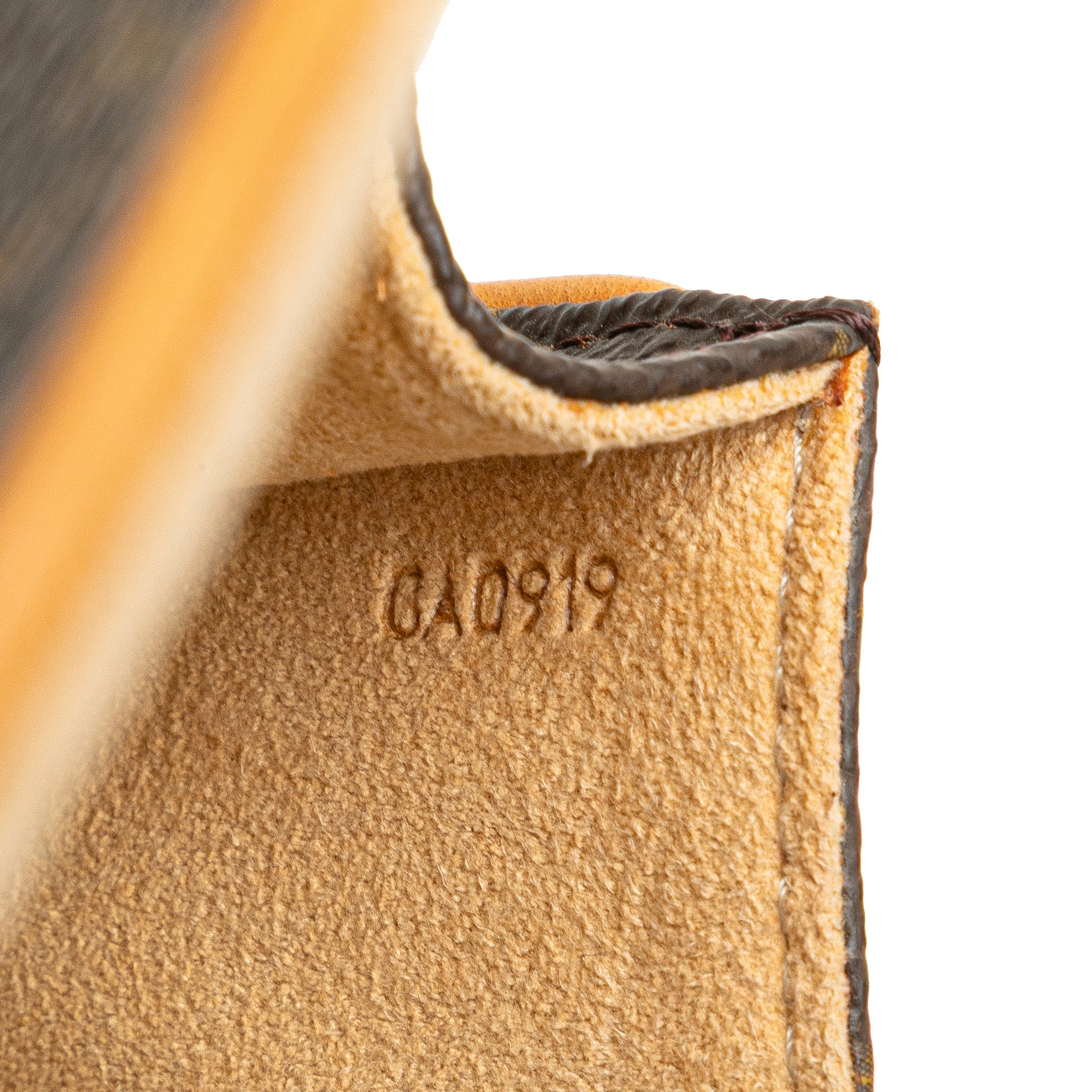 Monogram Pochette Twin PM