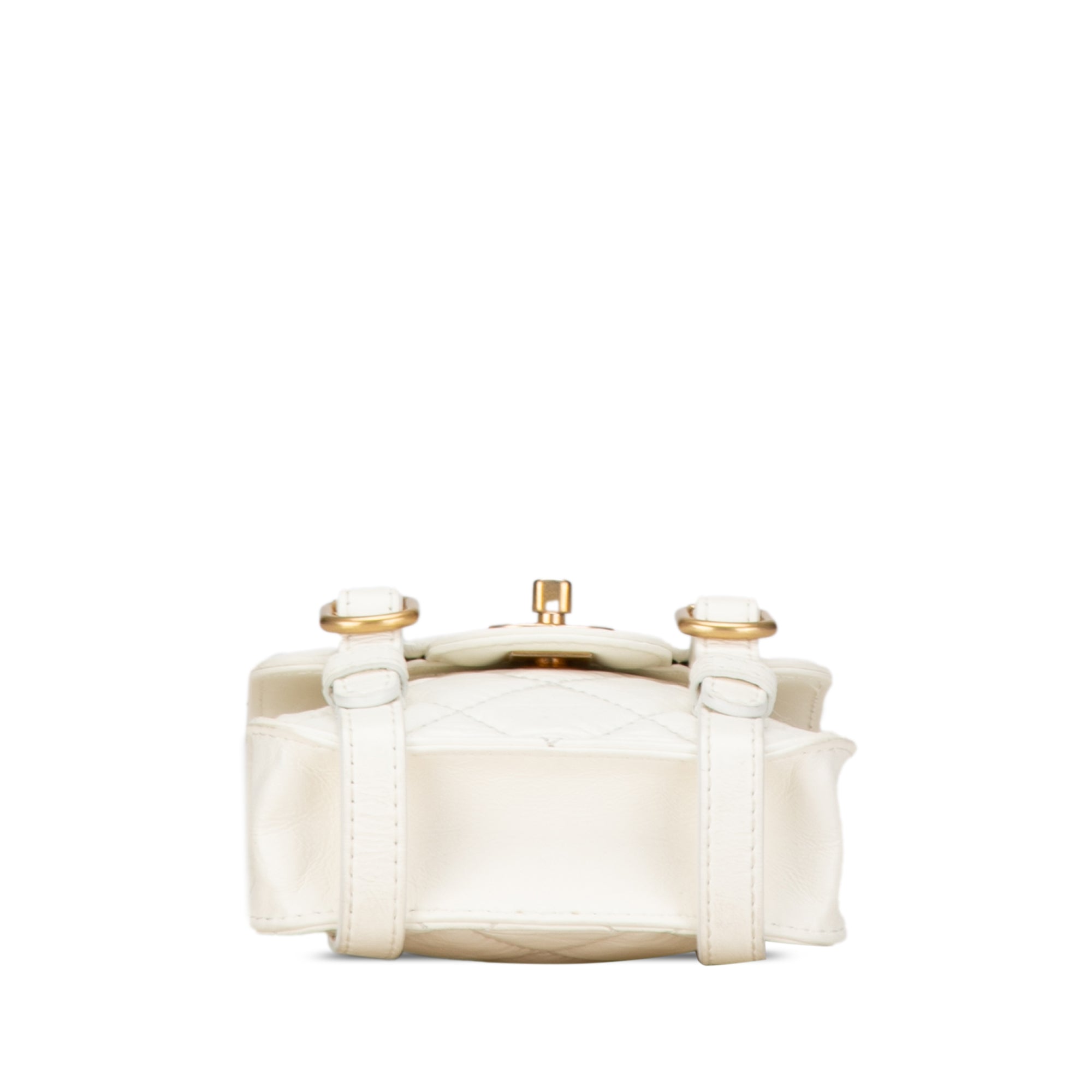Mini Aged Calfskin City School Flap
