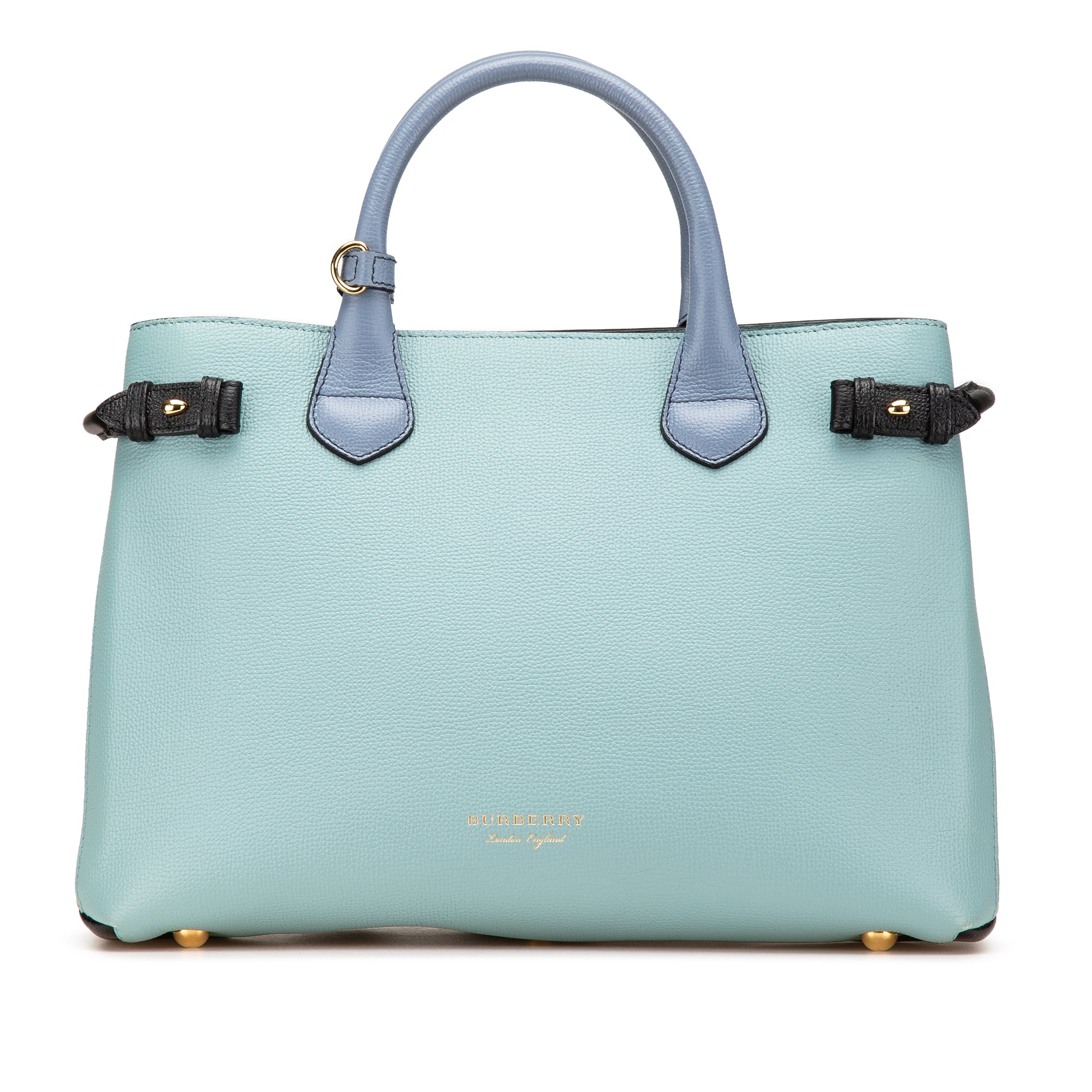 Medium Tricolor Leather Banner Satchel