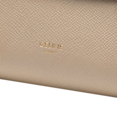 Pico Grained Calfskin Belt Bag