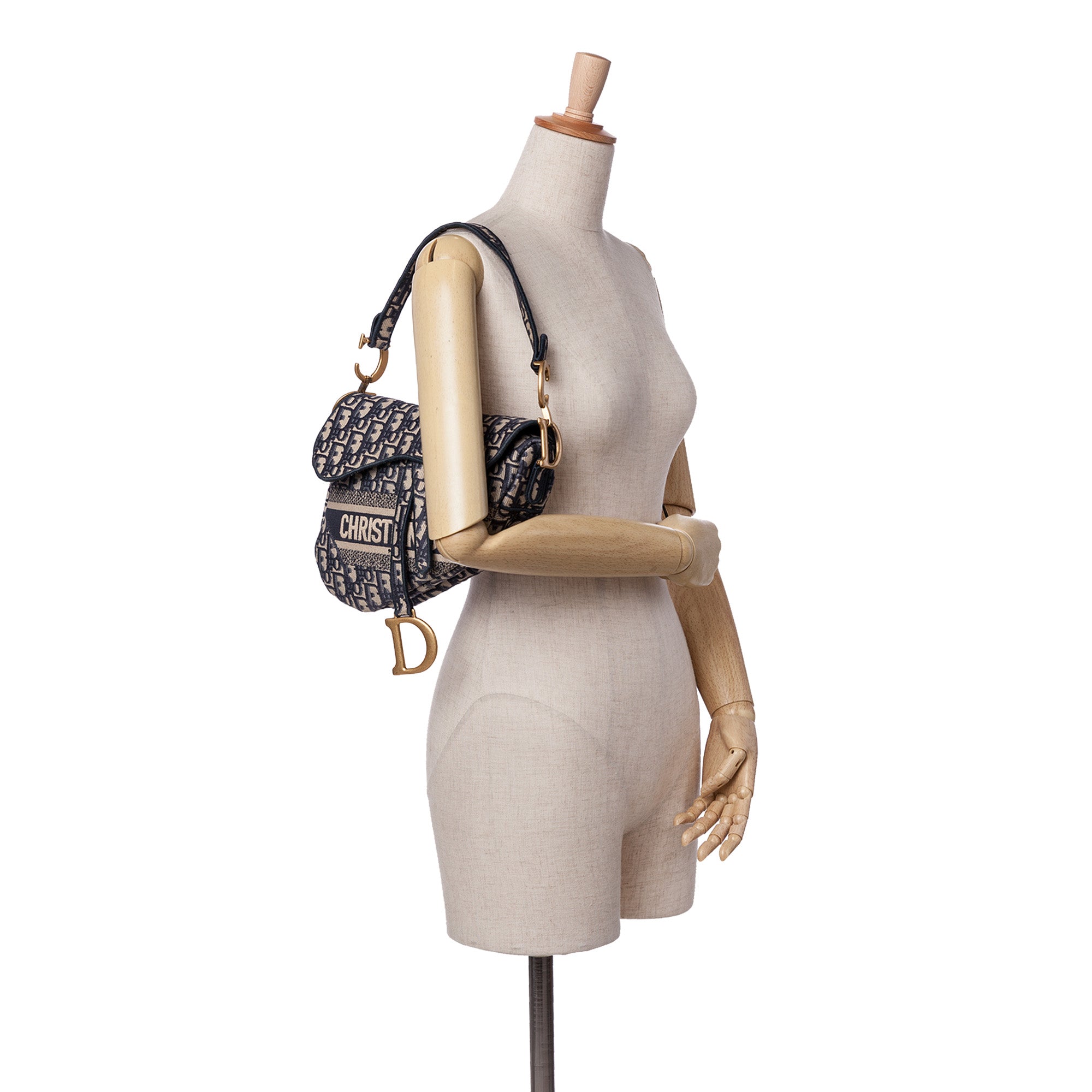 Oblique Embroidered Canvas Saddle Bag