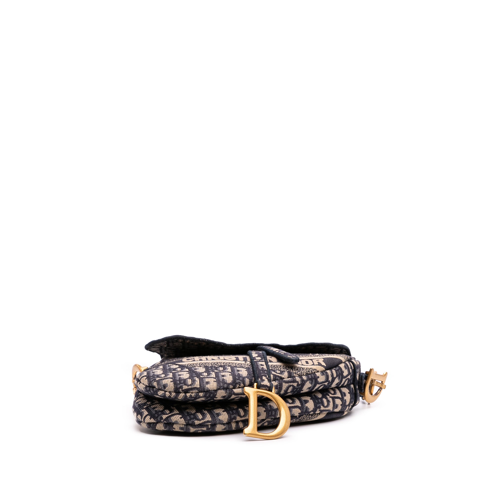 Oblique Embroidered Canvas Saddle Bag