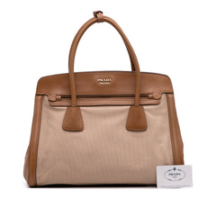 Saffiano Cuir Trimmed Canapa Satchel