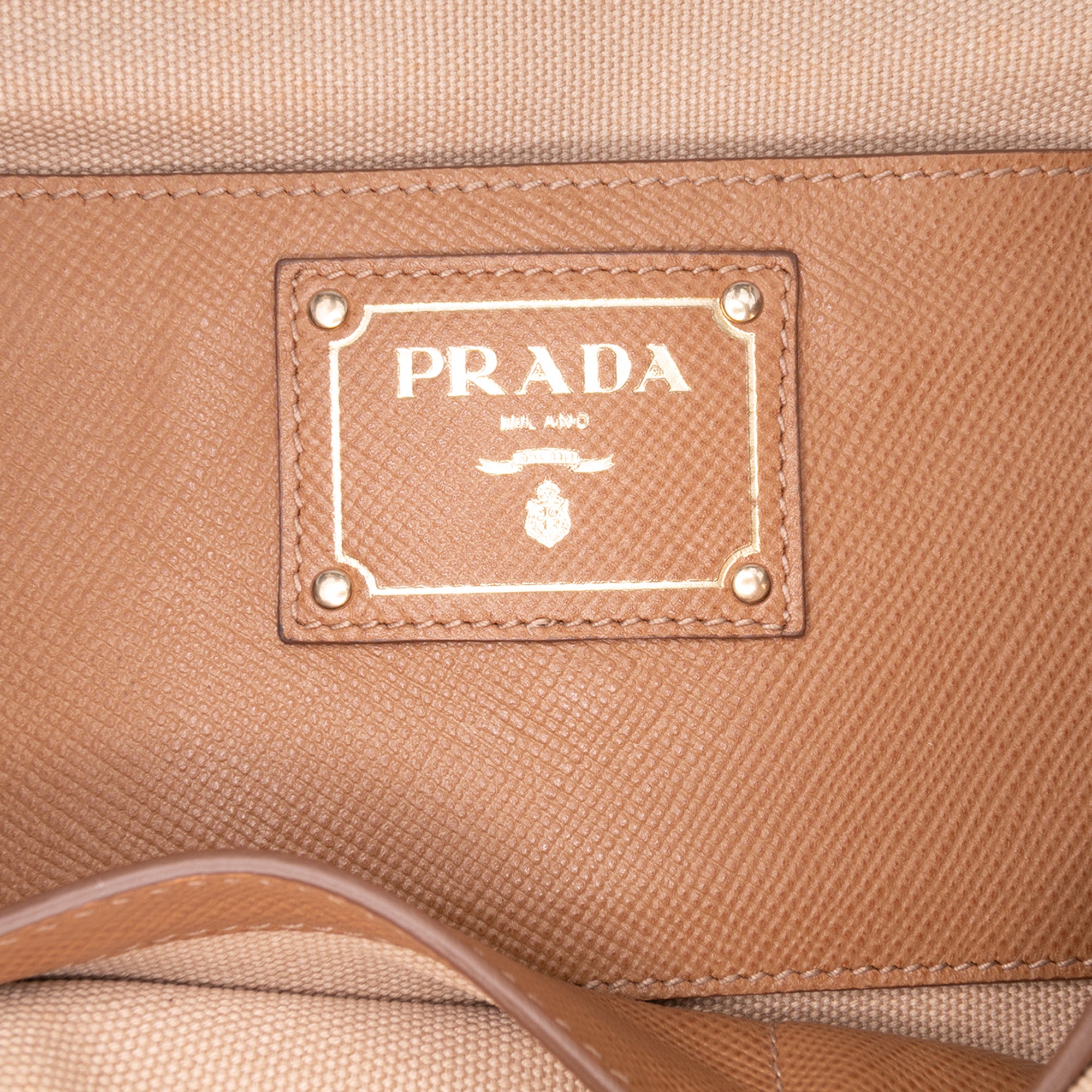 Saffiano Cuir Trimmed Canapa Satchel