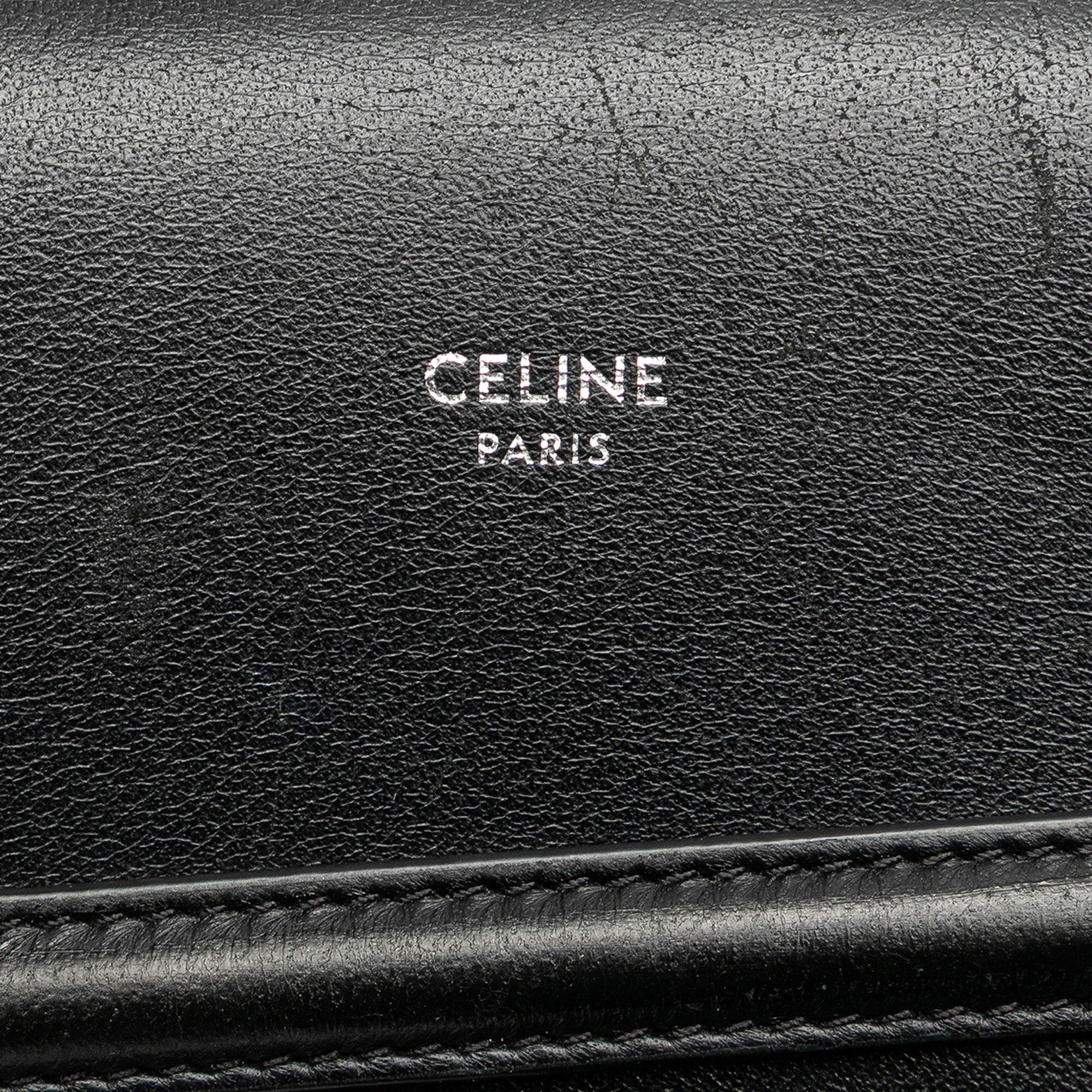 Triomphe Coated Canvas Phone Pouch Flap Crossbody