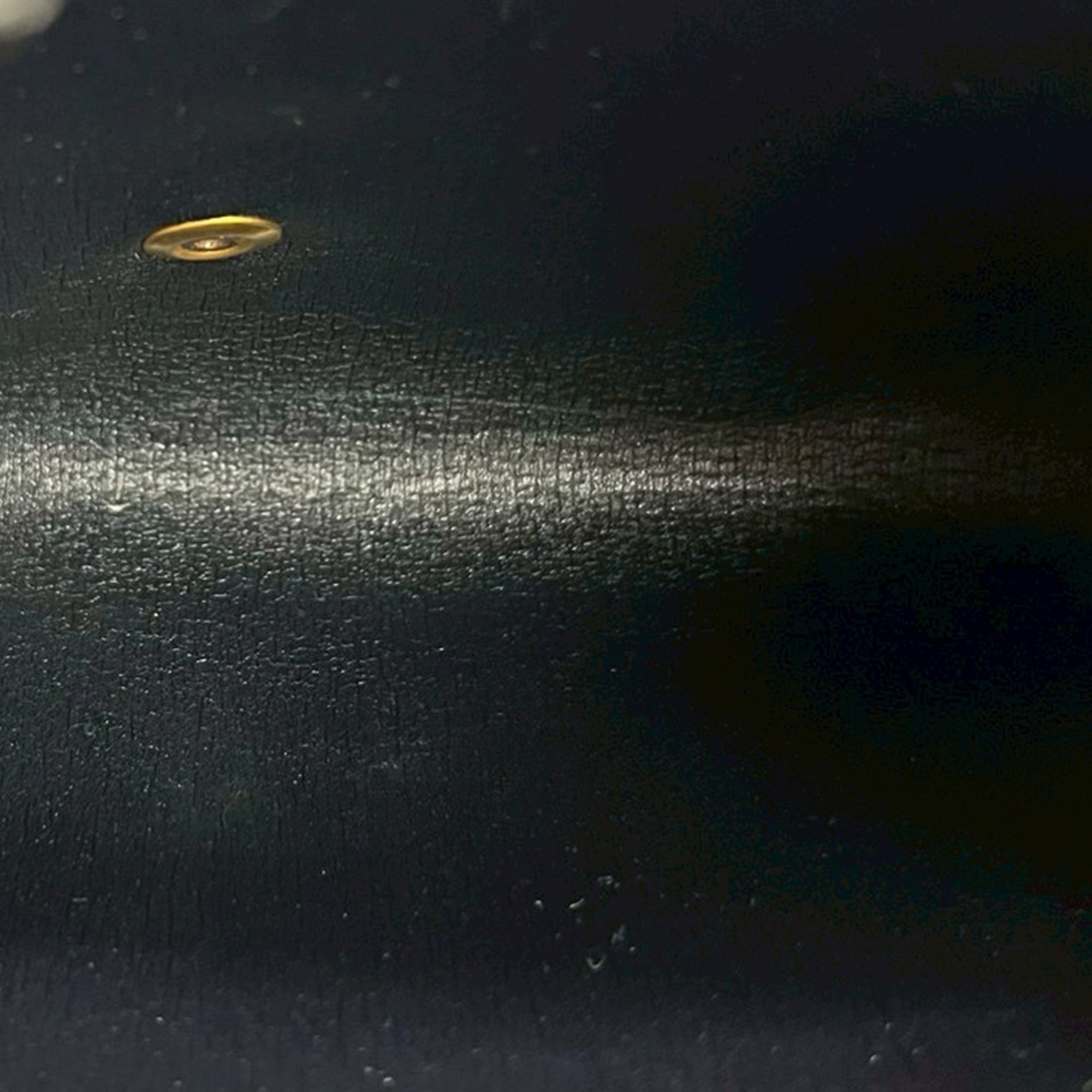 Diorissimo Trotter Canvas Chain Shoulder Bag