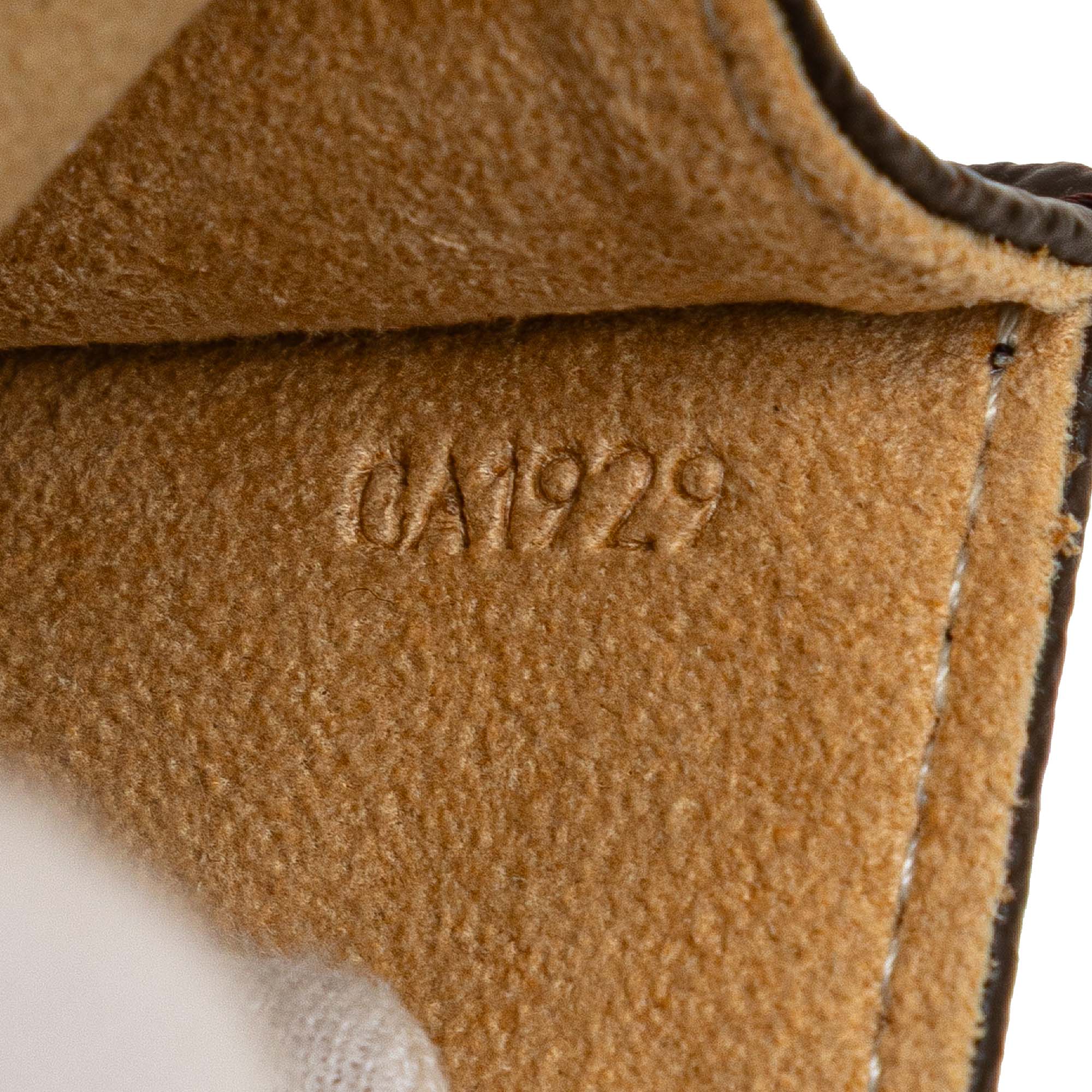 Monogram Pochette Twin PM