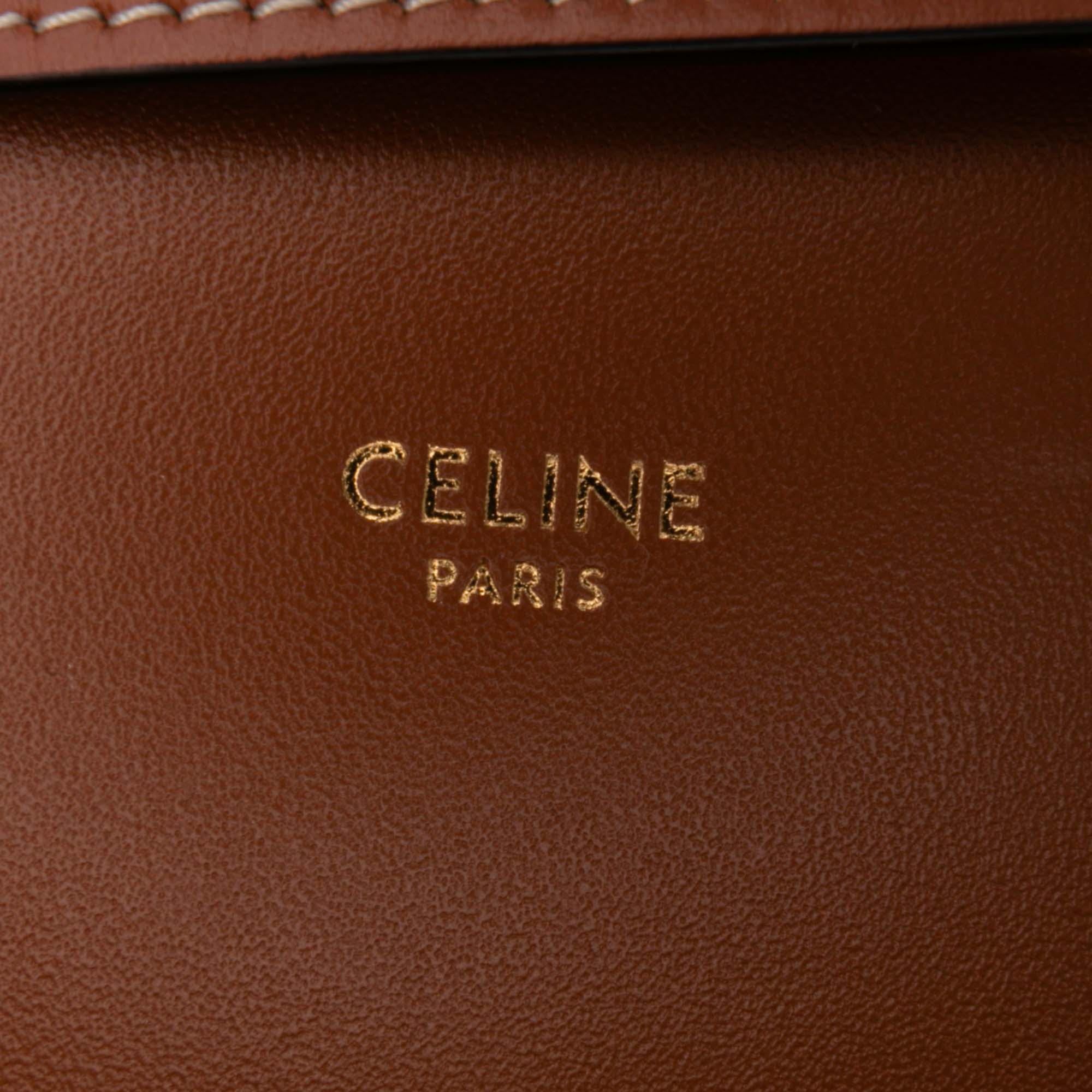 Classique Triomphe Coated Canvas and Calfskin Triomphe Crossbody