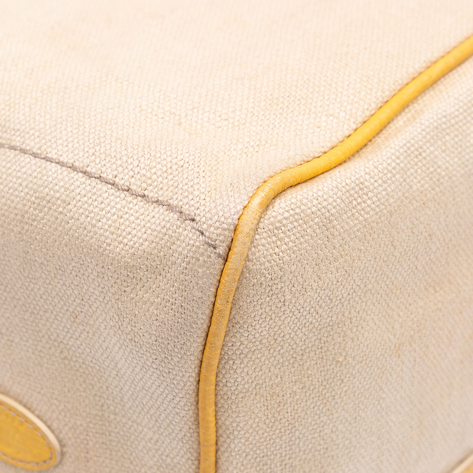 Canvas Boogie Handbag