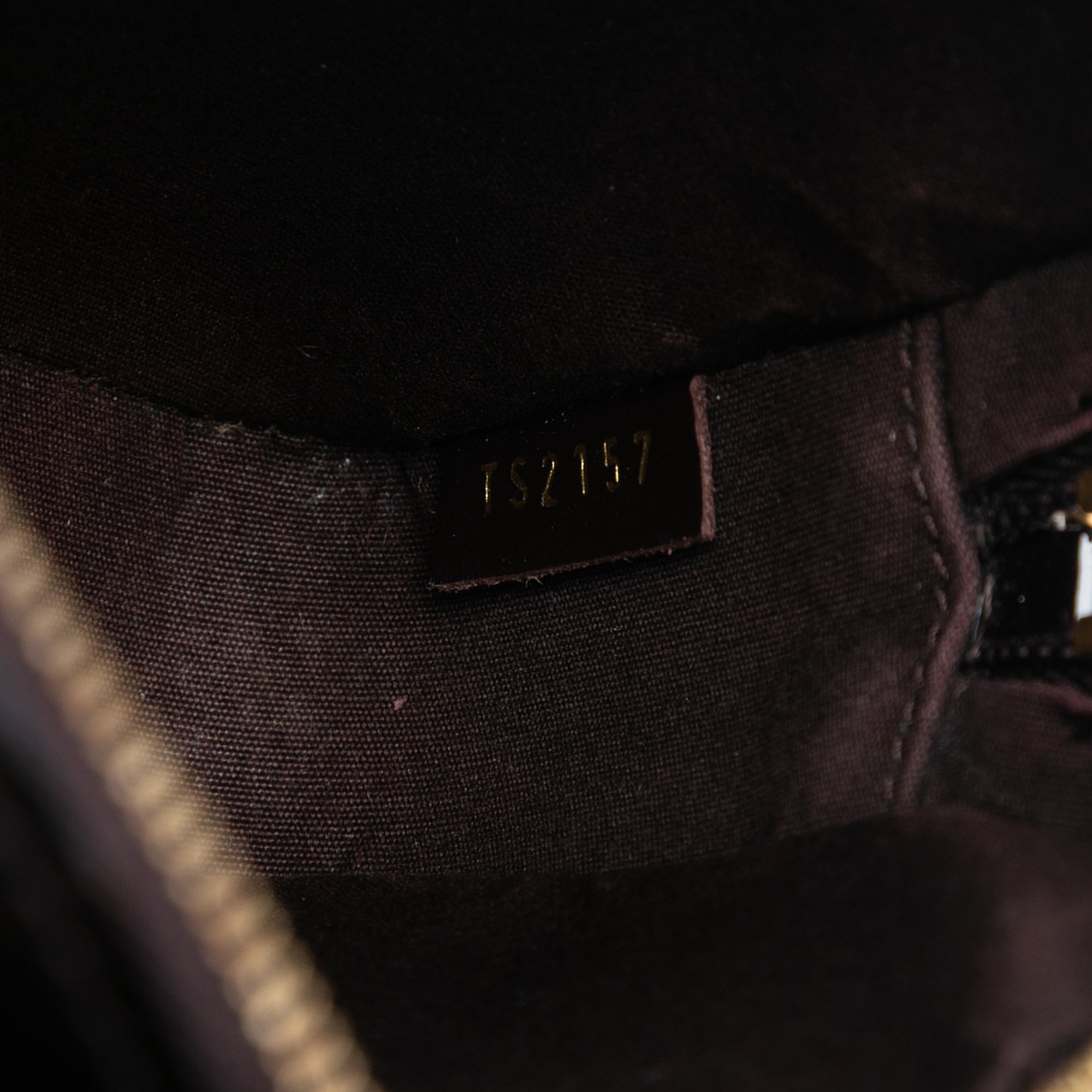 Monogram Vernis Camera Pouch