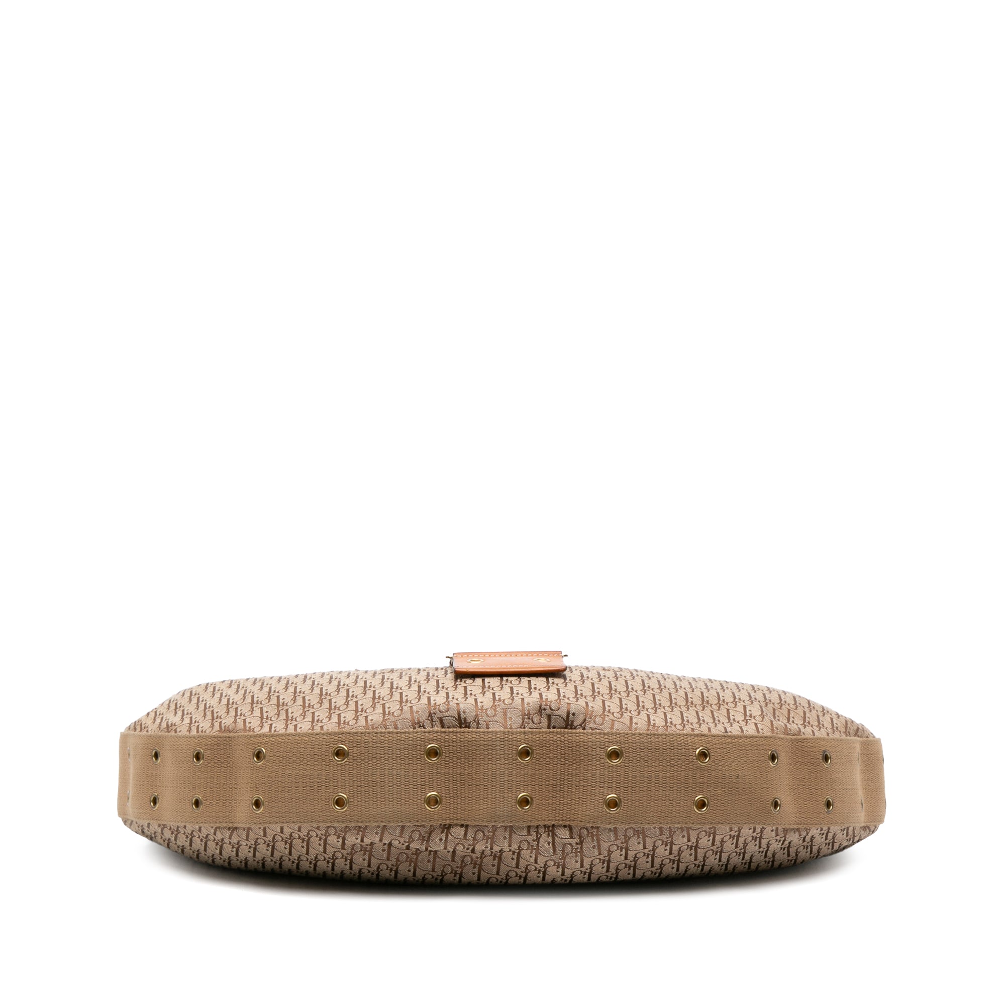 Diorissimo Trotter Canvas Street Chic Hobo