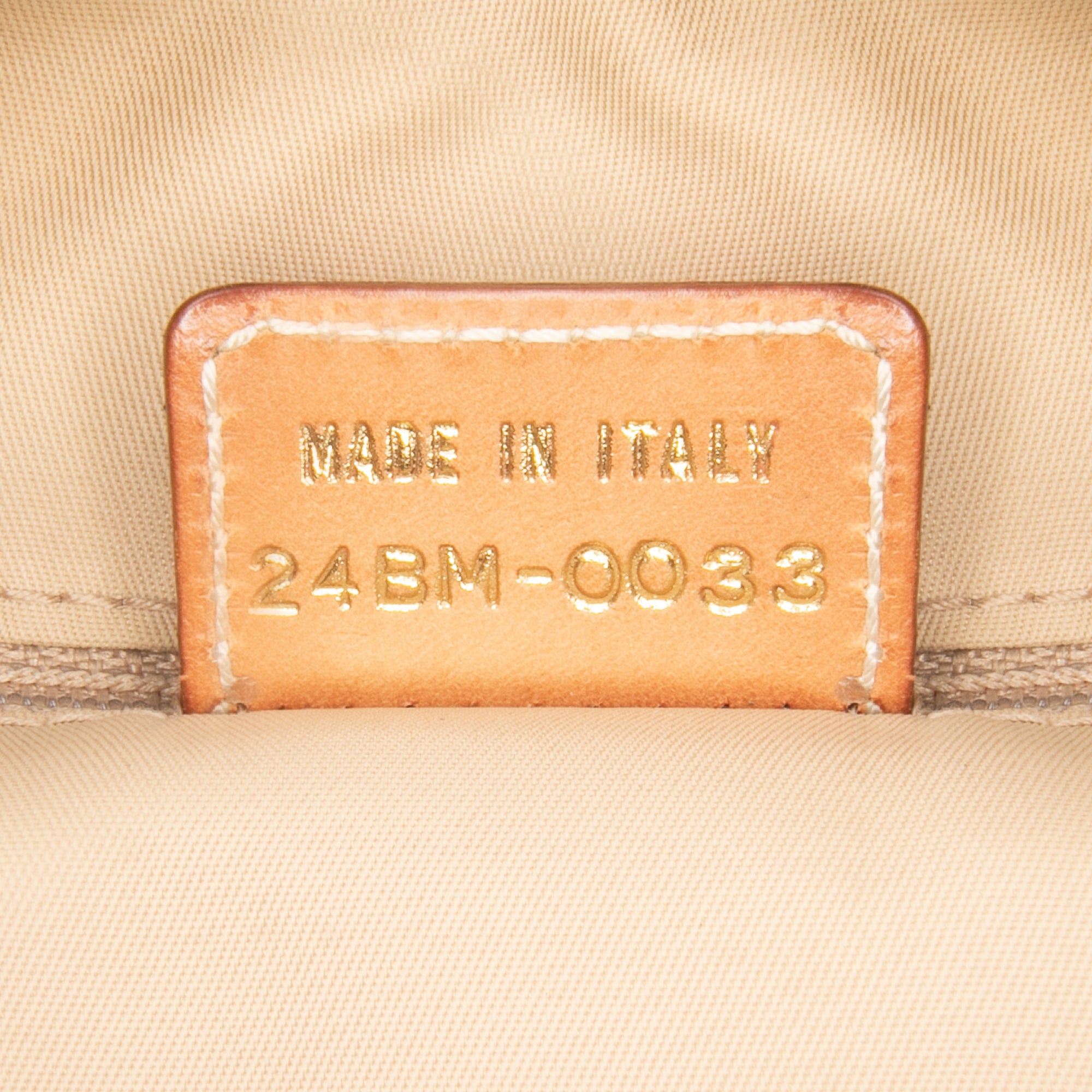 Diorissimo Trotter Canvas Street Chic Hobo