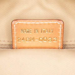 Diorissimo Trotter Canvas Street Chic Hobo
