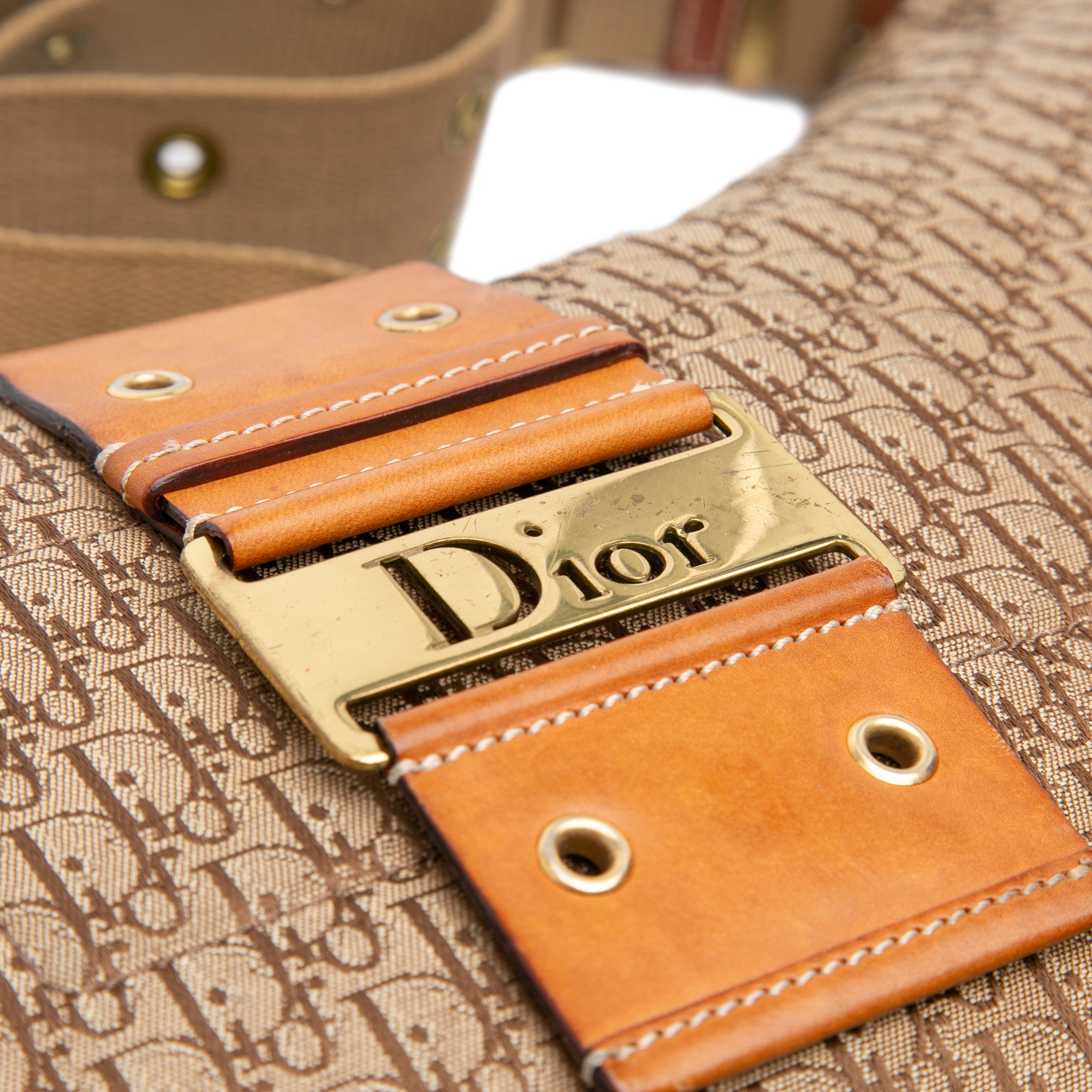 Diorissimo Trotter Canvas Street Chic Hobo