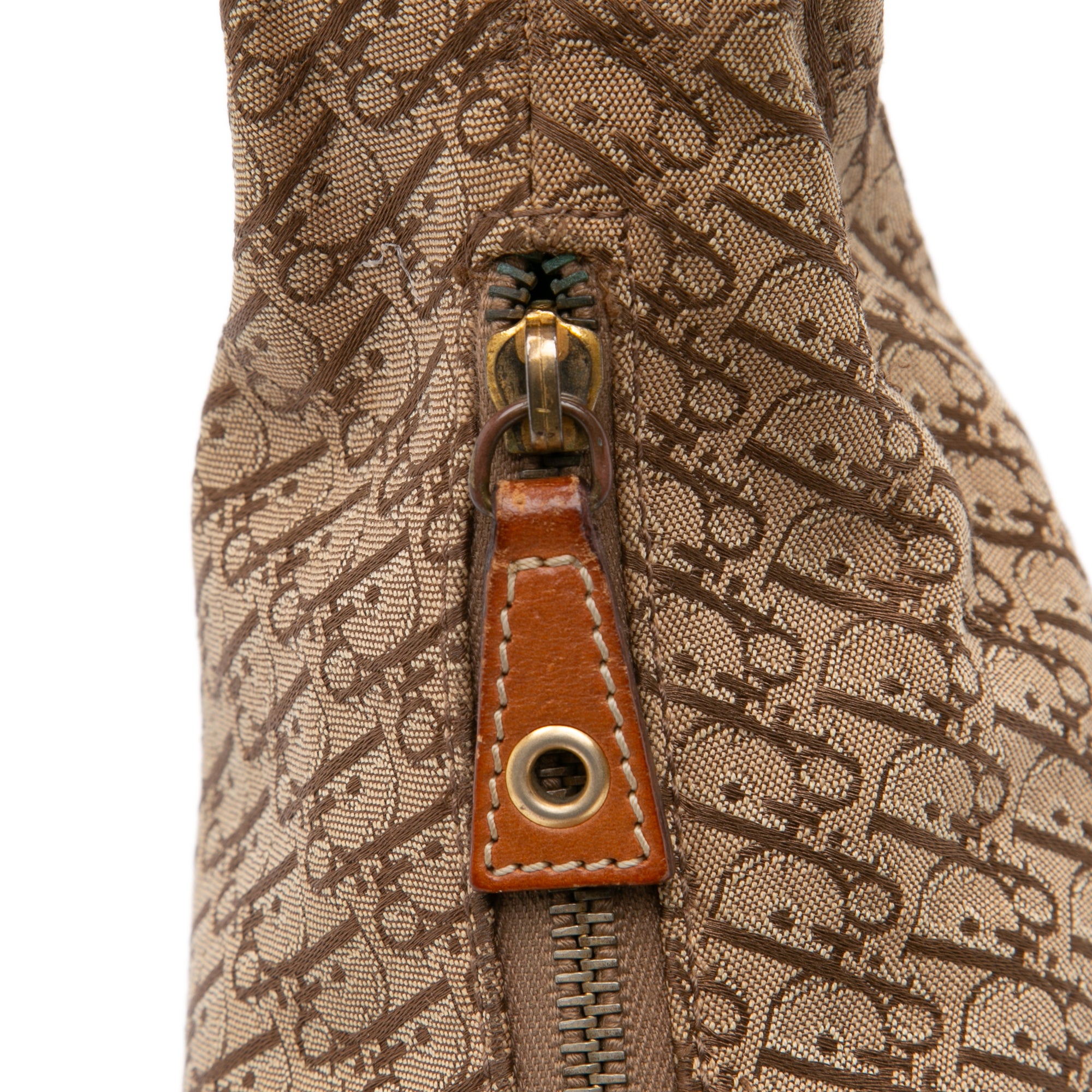 Diorissimo Trotter Canvas Street Chic Hobo