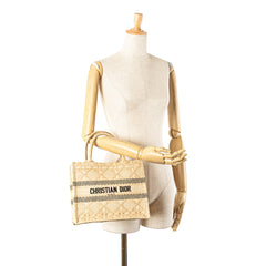 Small Raffia Cannage Book Tote