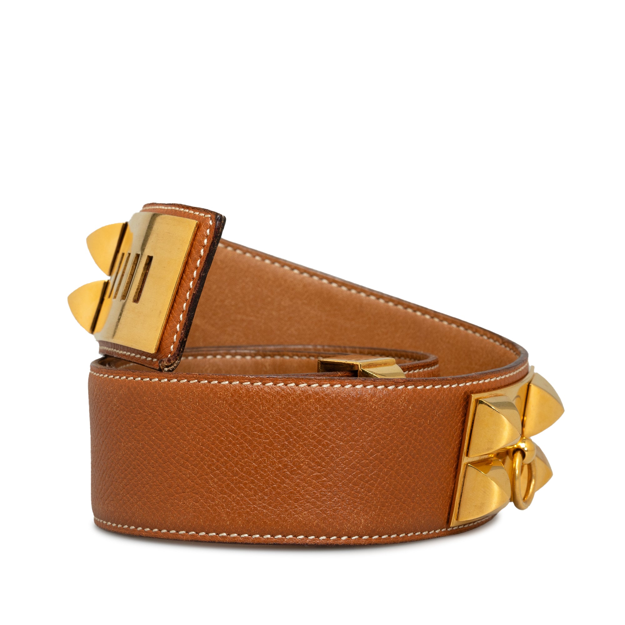 Collier de Chien Belt_1