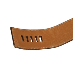 Collier de Chien Belt_6