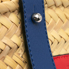 Small Raffia Basket Tote