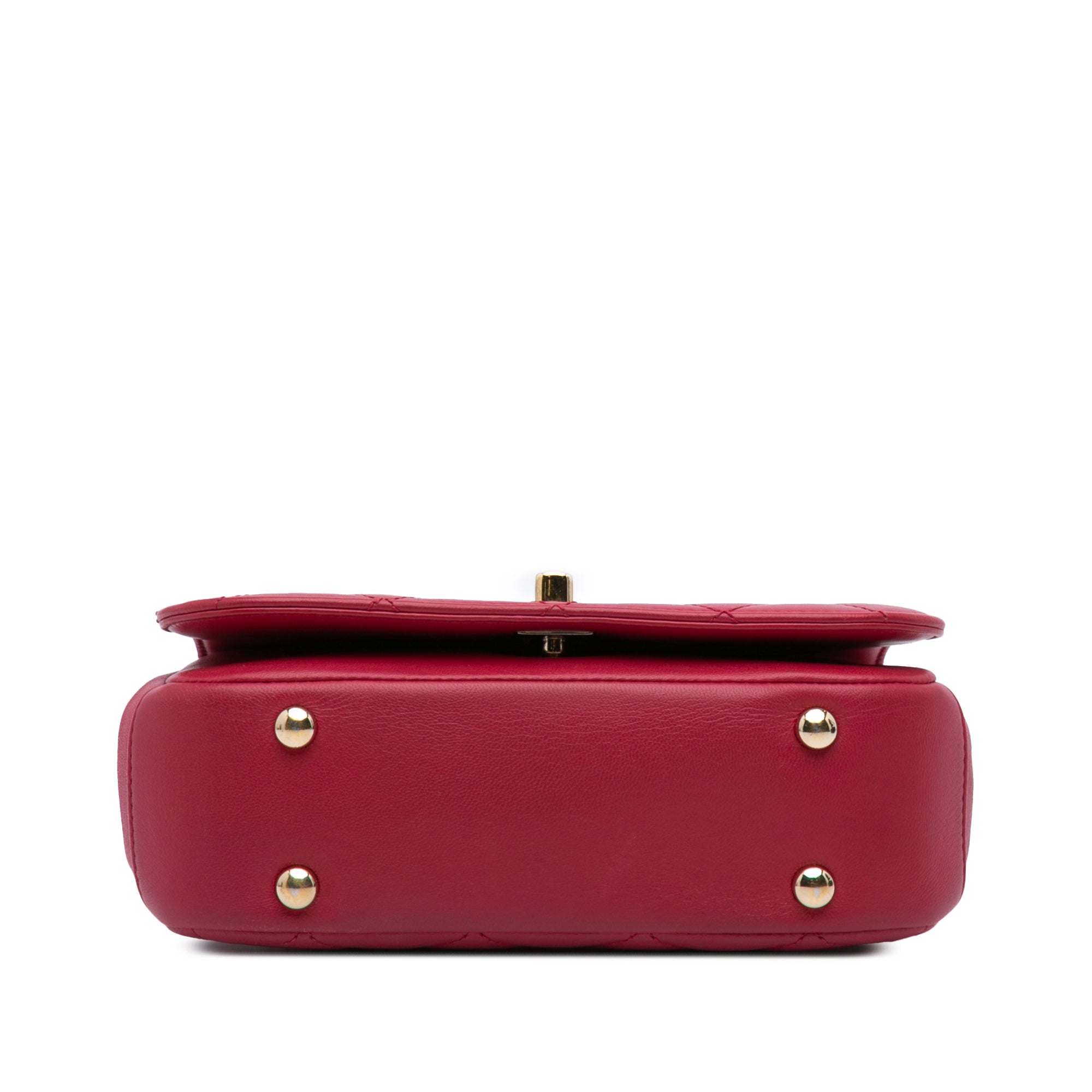 Mini Quilted Lambskin Carry Chic Flap