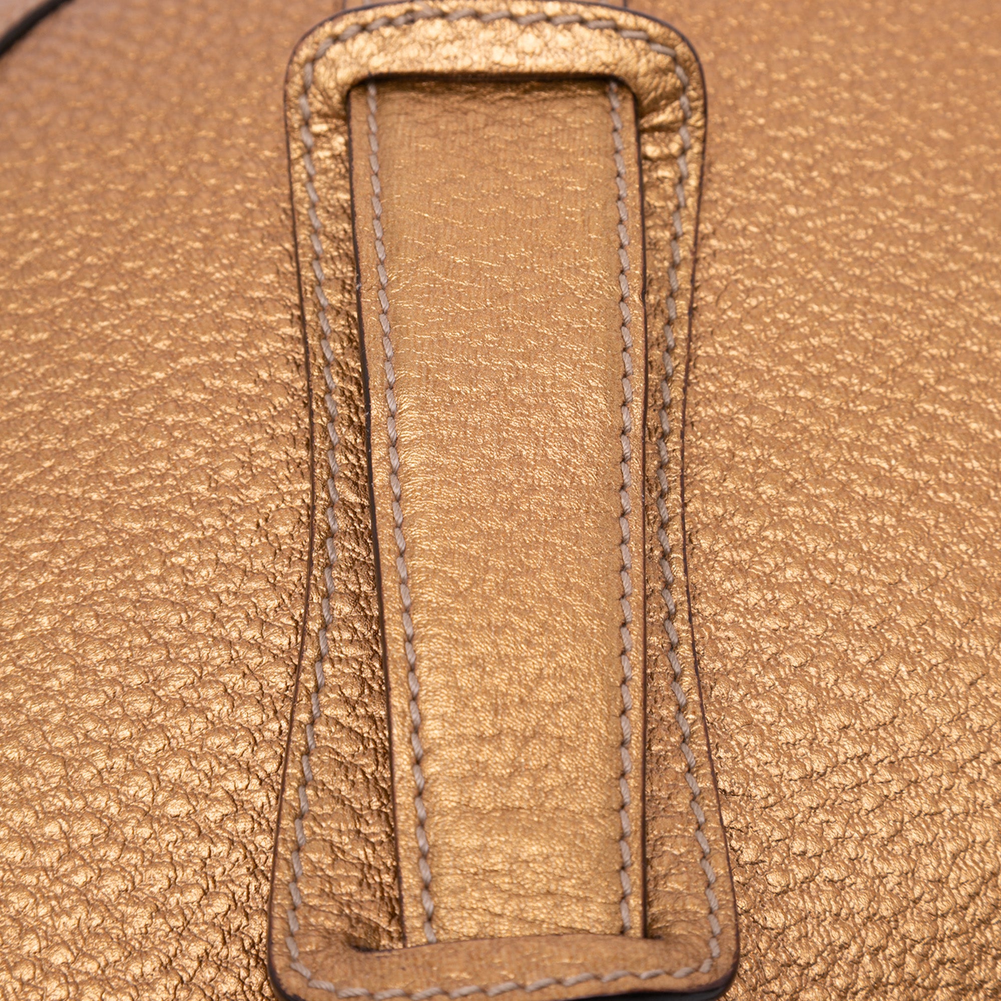 Metallic Leather Horsebit Crossbody