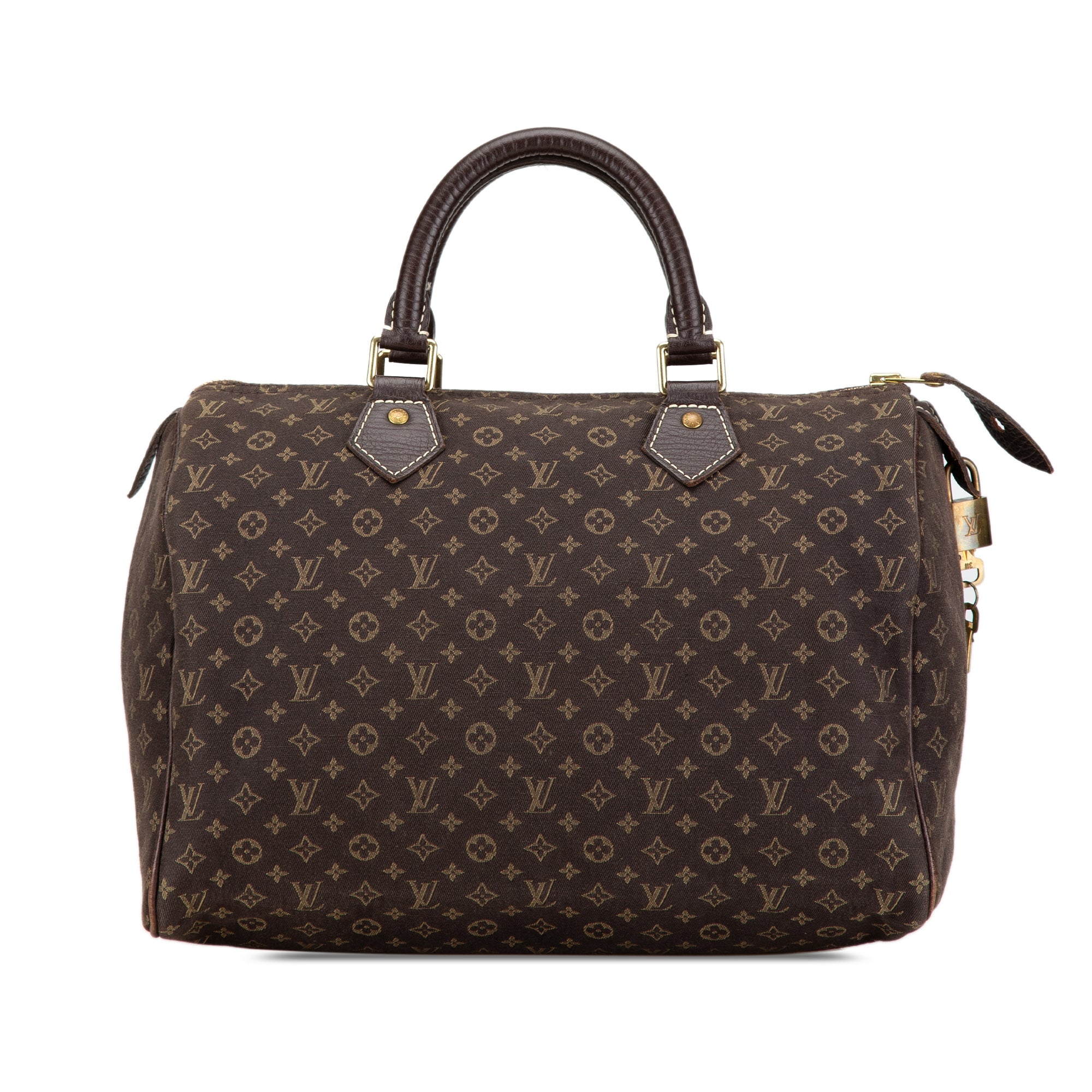 Monogram Mini Lin Speedy 30