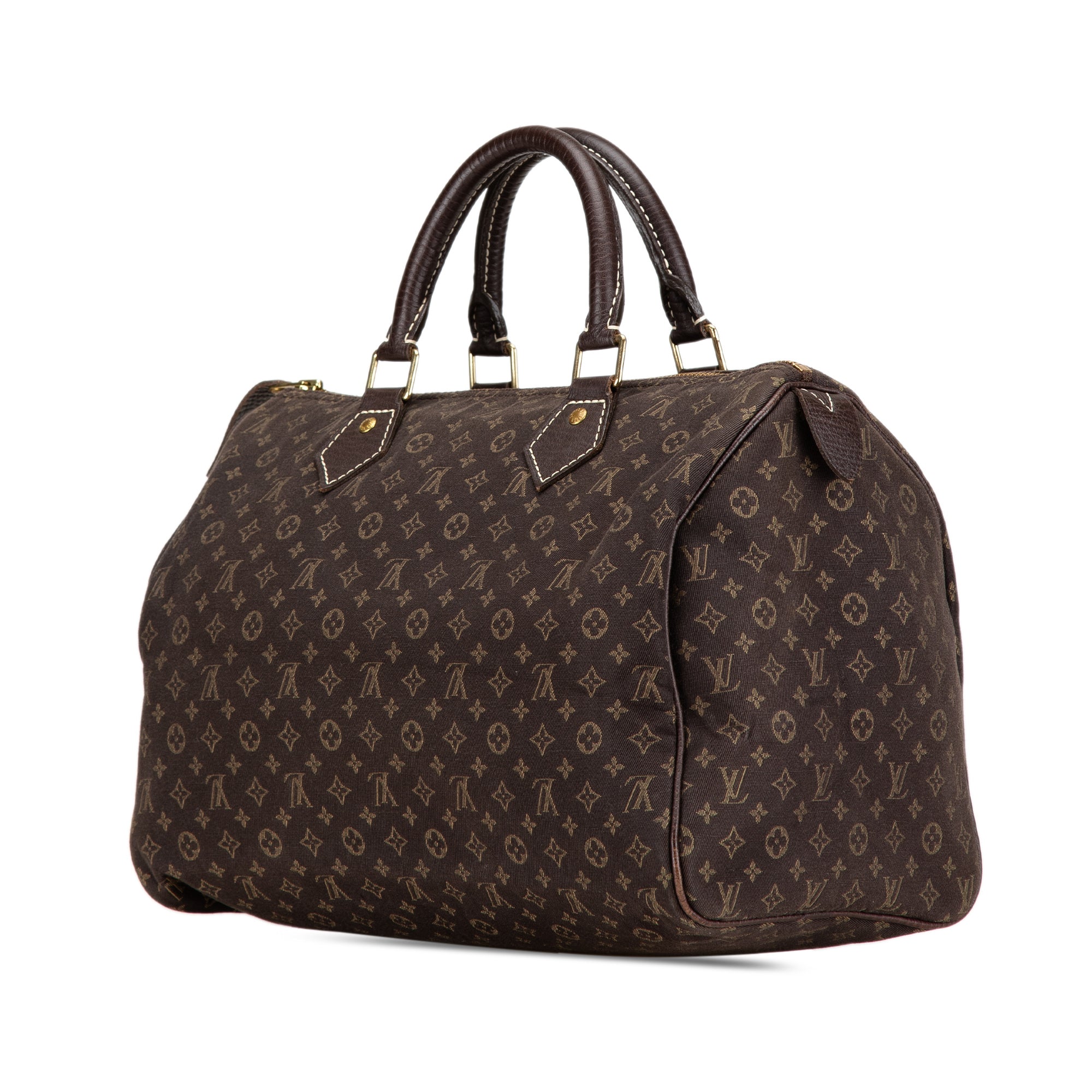 Monogram Mini Lin Speedy 30