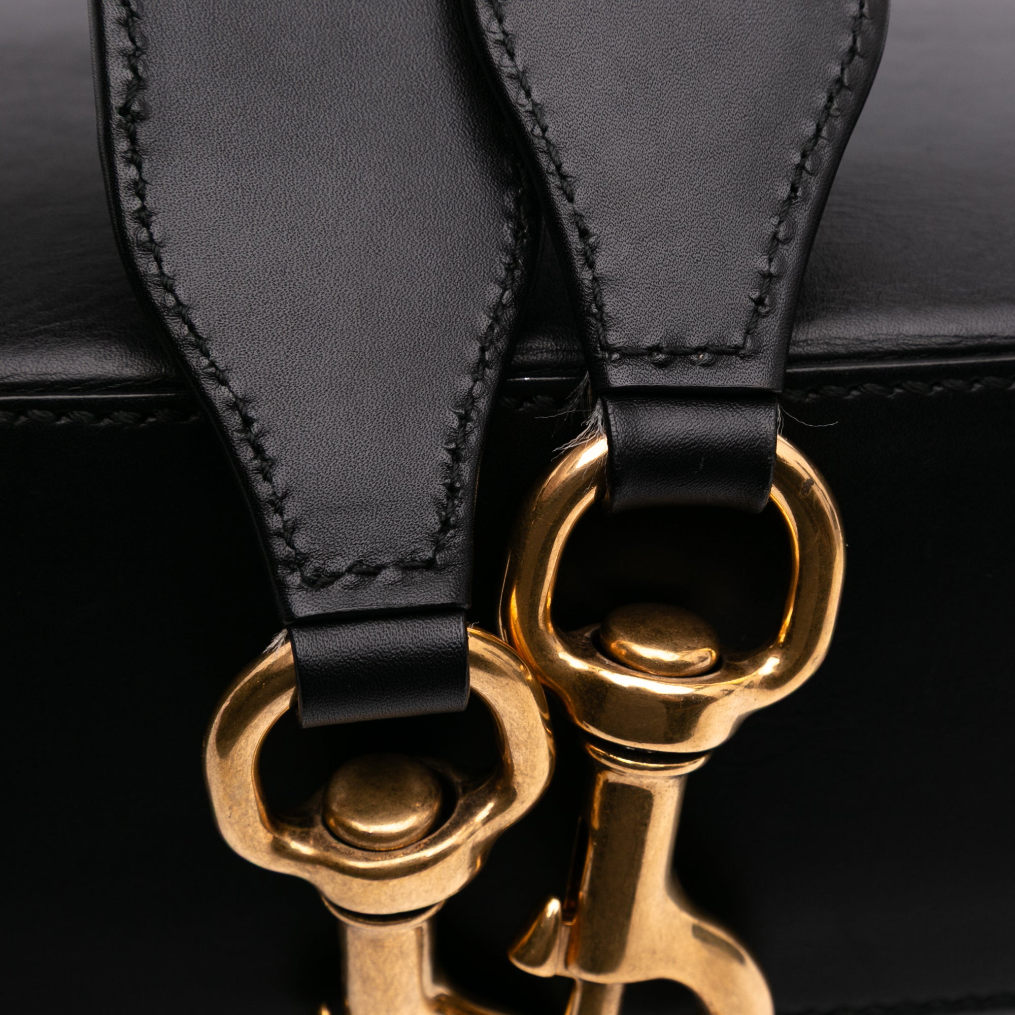 Medium Leather Lady Web Crossbody