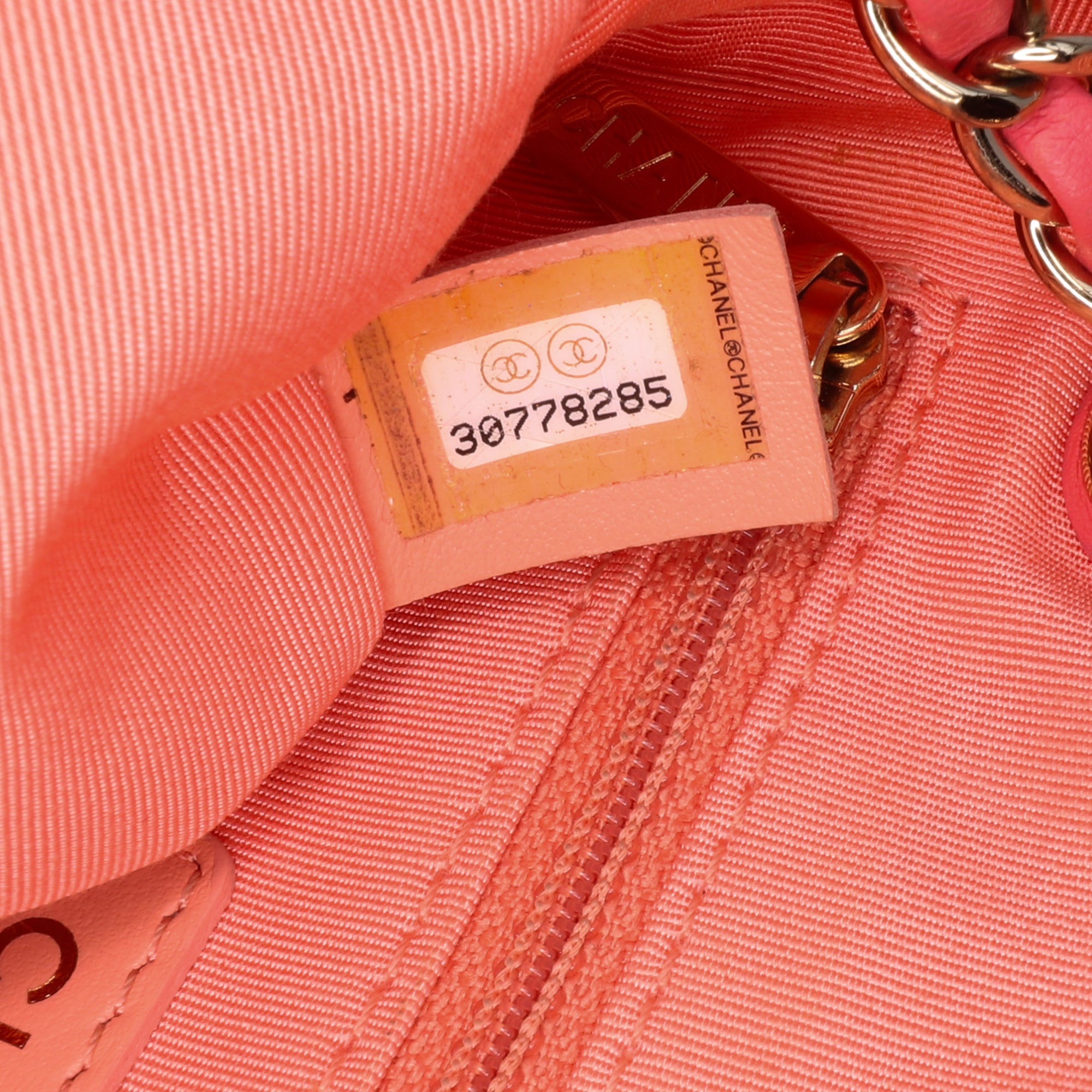 Lambskin Giant Crystal CC Camera Bag