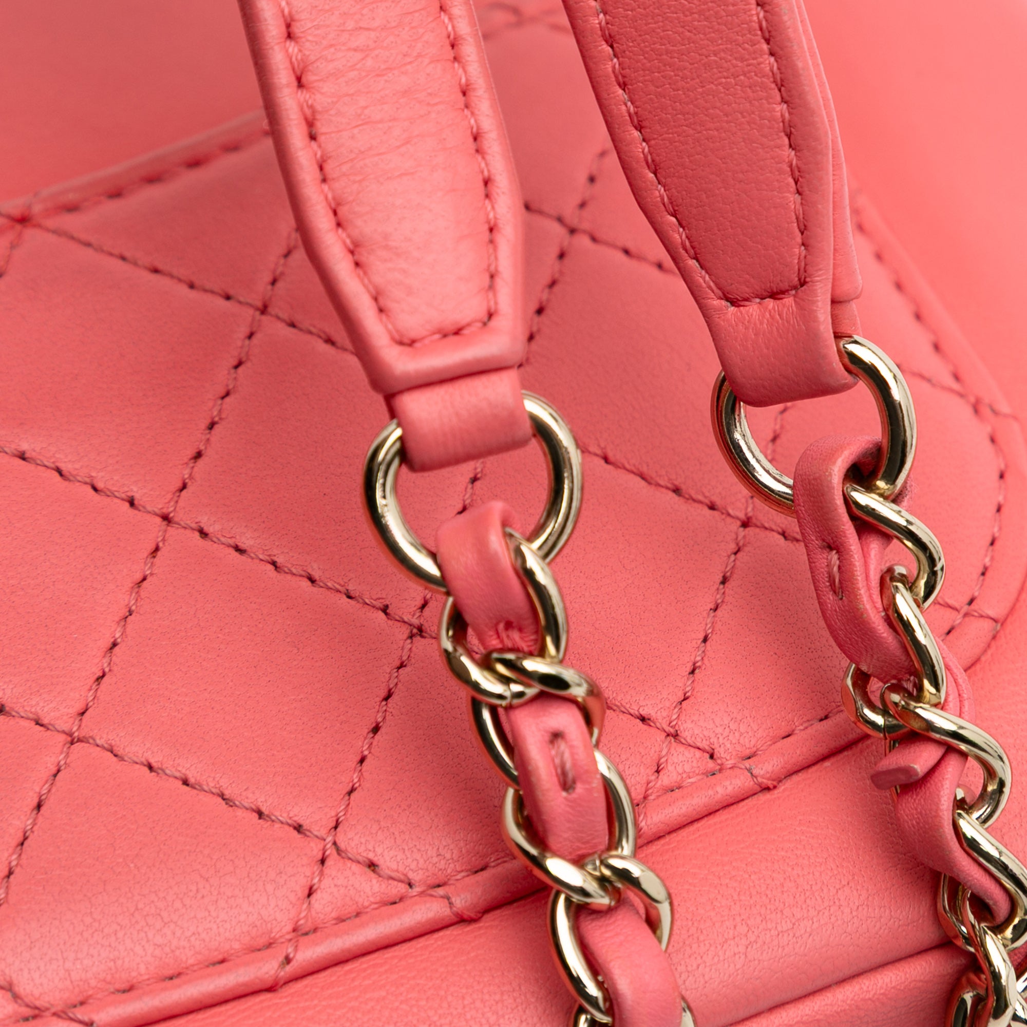 Lambskin Giant Crystal CC Camera Bag