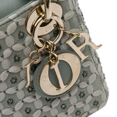 Mini Embellished Suede Lady Dior