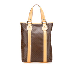 Macadam Coated Canvas Vertical Tote